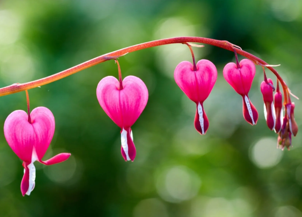 Recognizing the Unfamiliar: Why Past Experiences Shape Our Ability to Receive&nbsp;Love