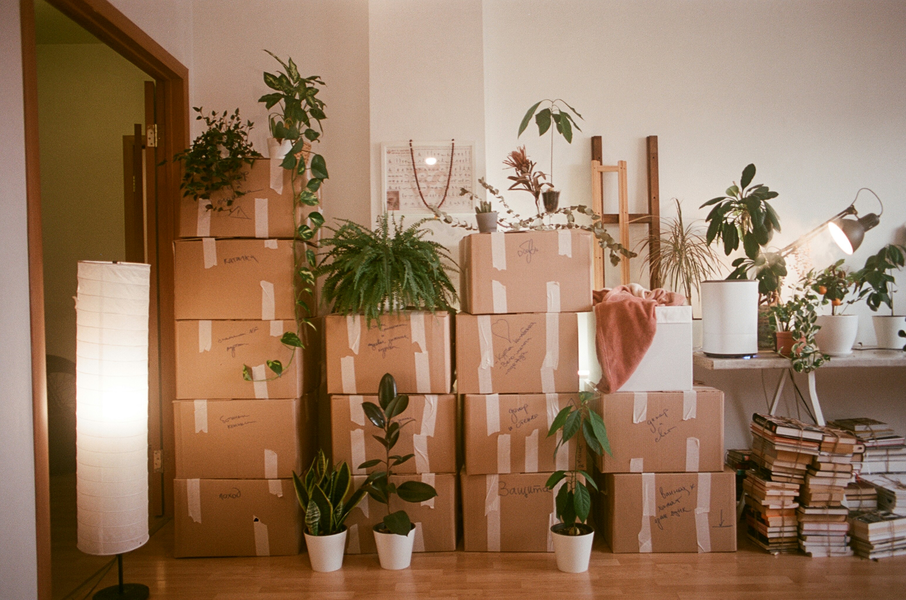 Moving Soon? Here Are the Most Useful (& Overlooked) Tips To Save Stress Later