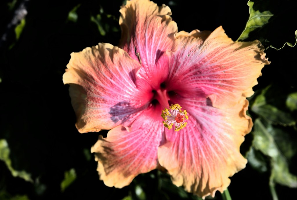 Guard Your Womb Like Your Life Depends On It (Because It&nbsp;Does)